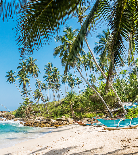 Le littoral sri-lankais et ses plages infinies 1